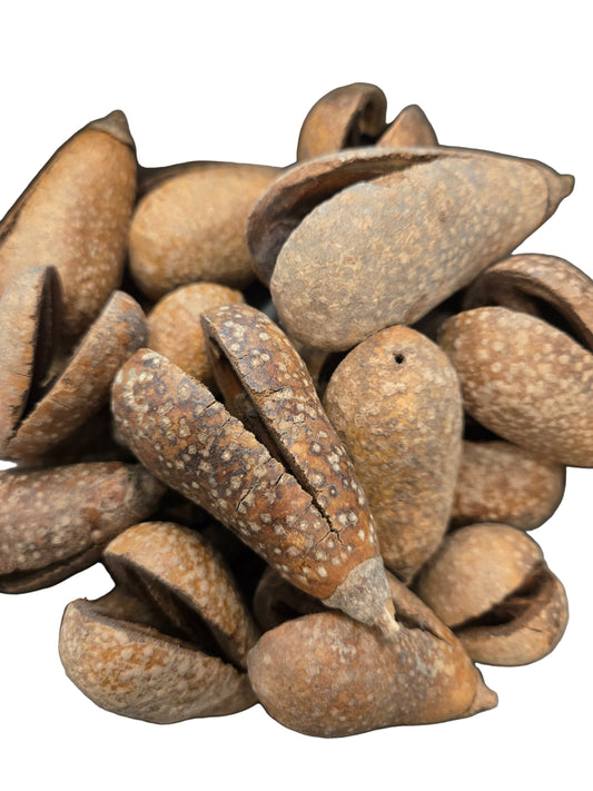 Whole Pear Pods
