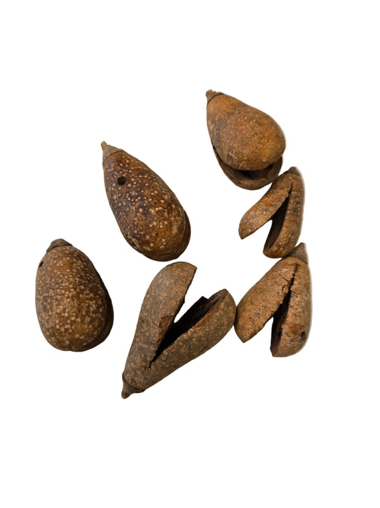 Whole Pear Pods
