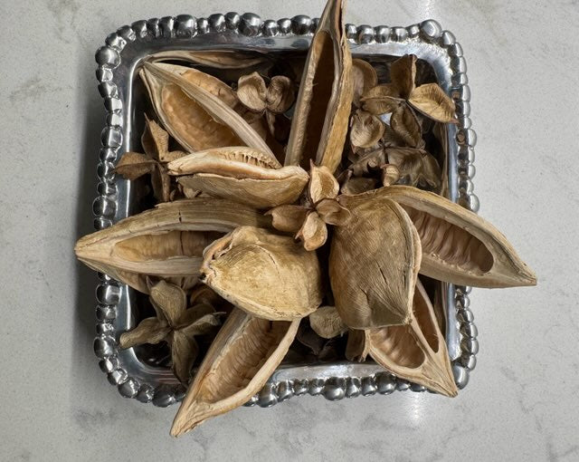 Sora Pods