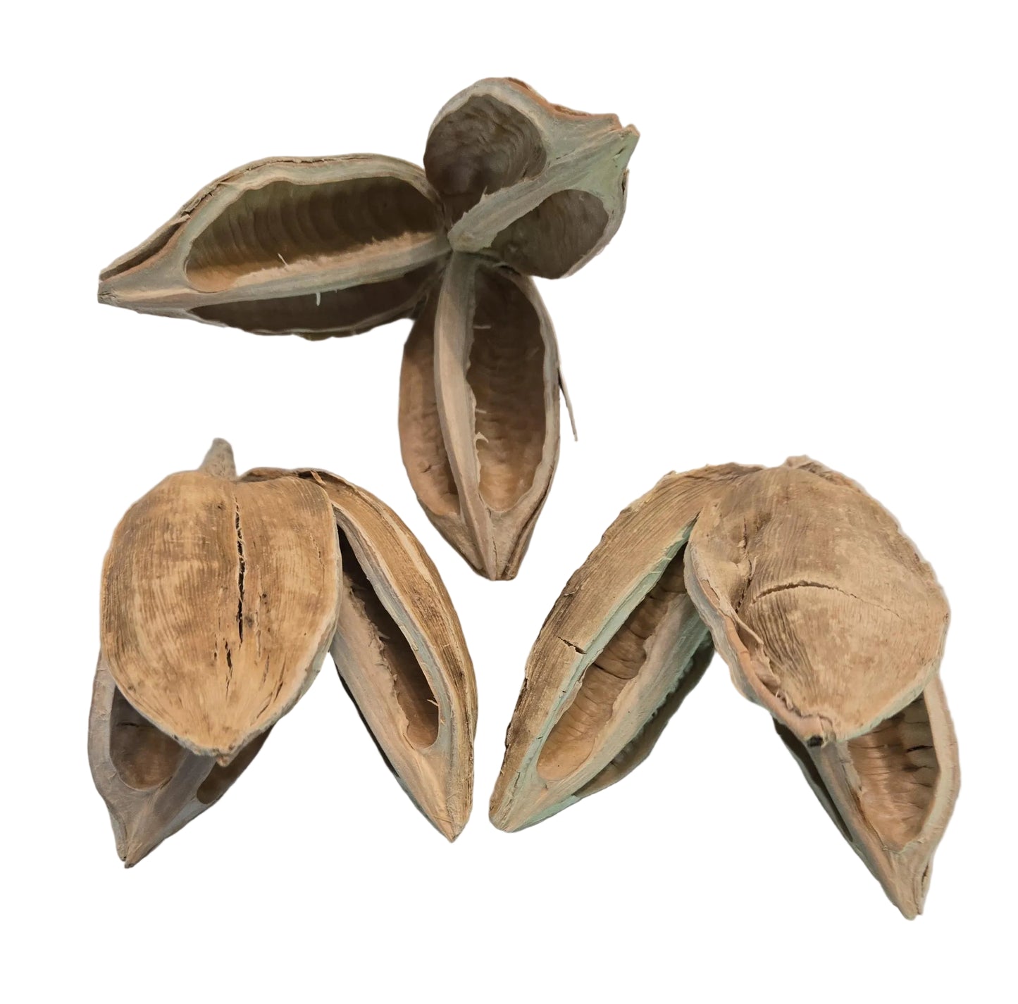 Sora Pods