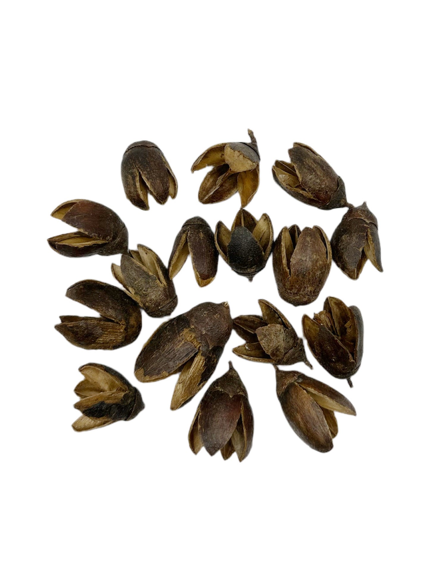 Bakuli Pods