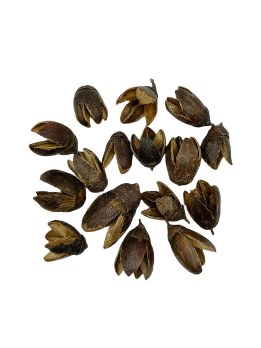Bakuli Pods