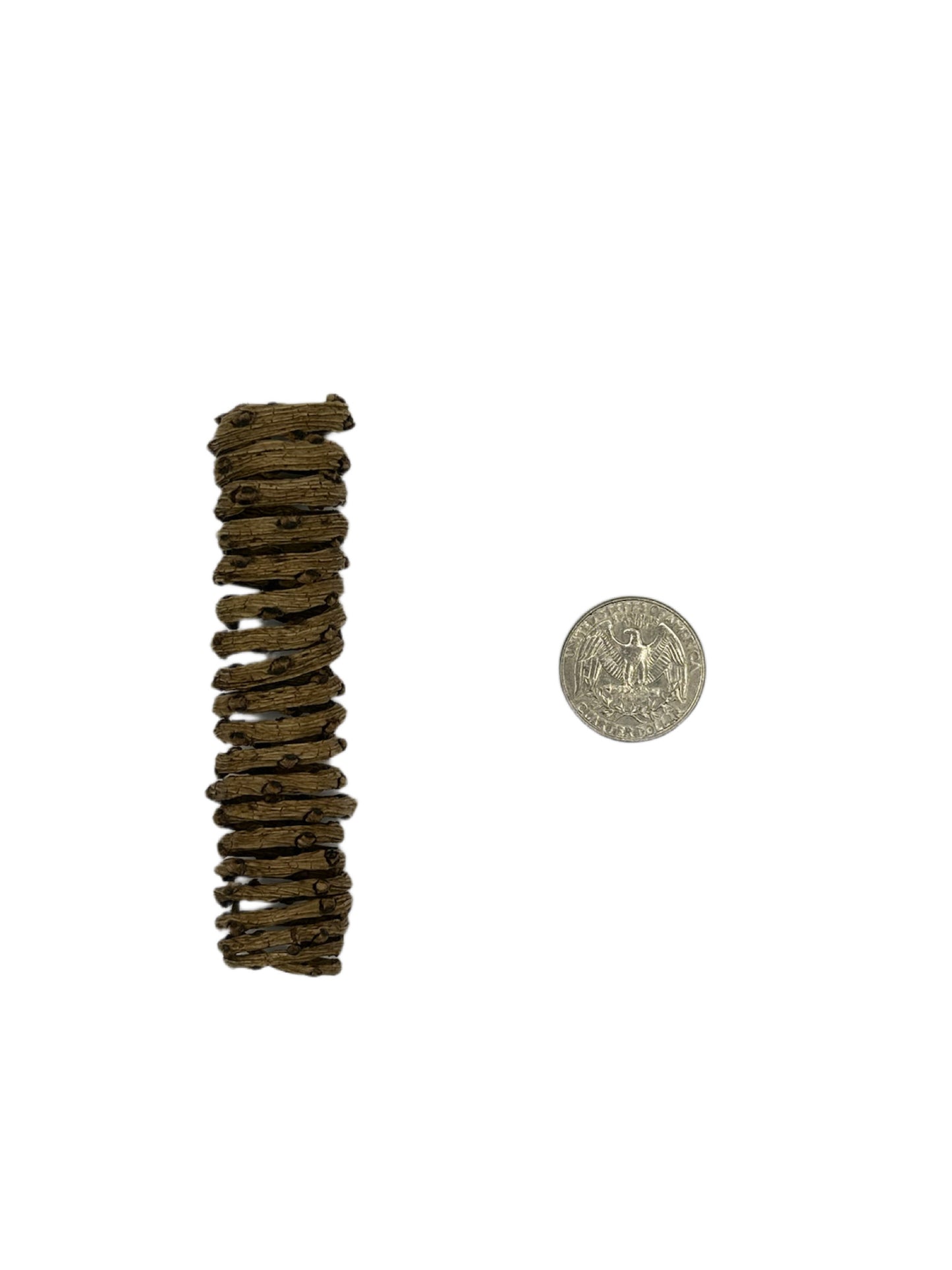 Palm Tail Spring