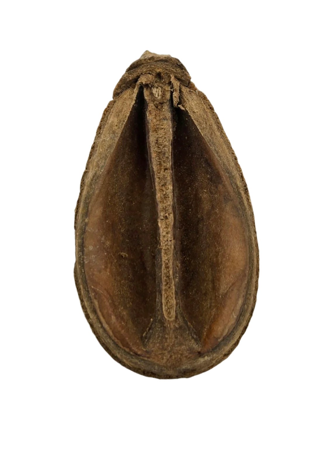 Pear Pods