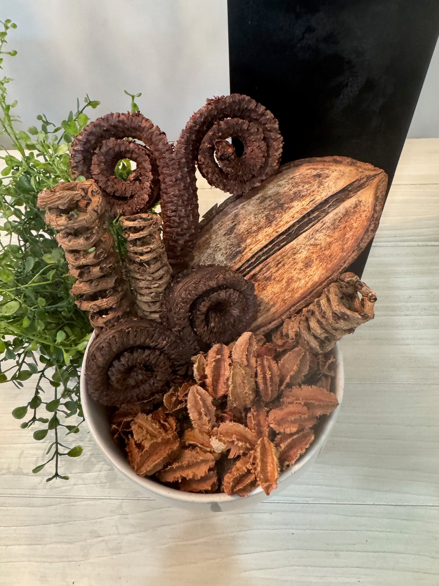 Palm Tail Spring