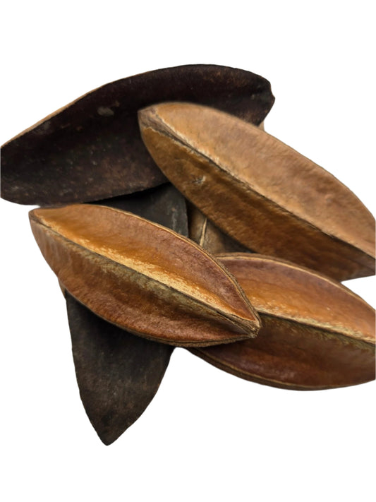 Antiquorum Triangle Pods