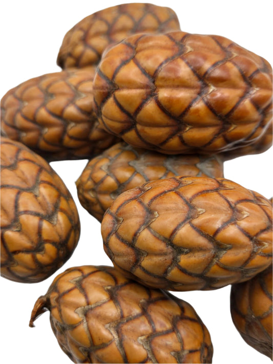 Uxi Dragon's Egg Pod
