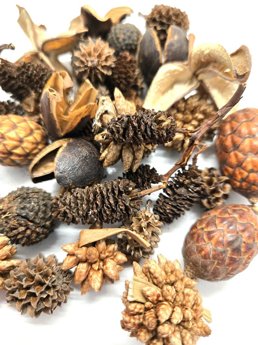 Mini/Nano Seed Pod Variety Pack - 35 Pieces