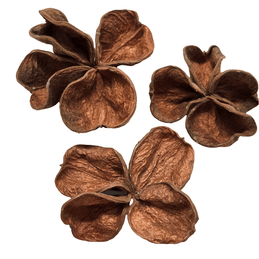 Land Lotus Pod